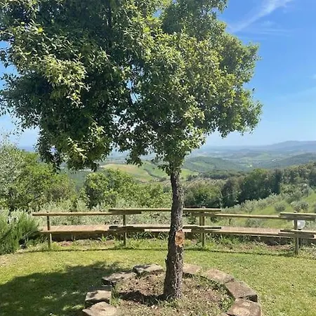 In Collina *